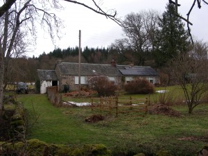 Hello Burnside Cottage, December 2012